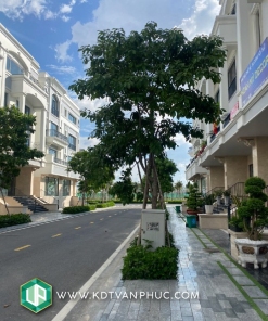 cho thue nha van phuc