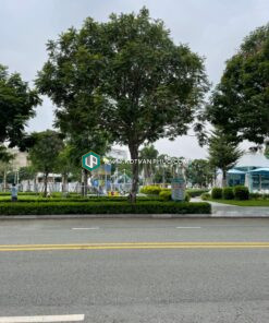 cho thuê nhà nguyên căn vạn phúc city