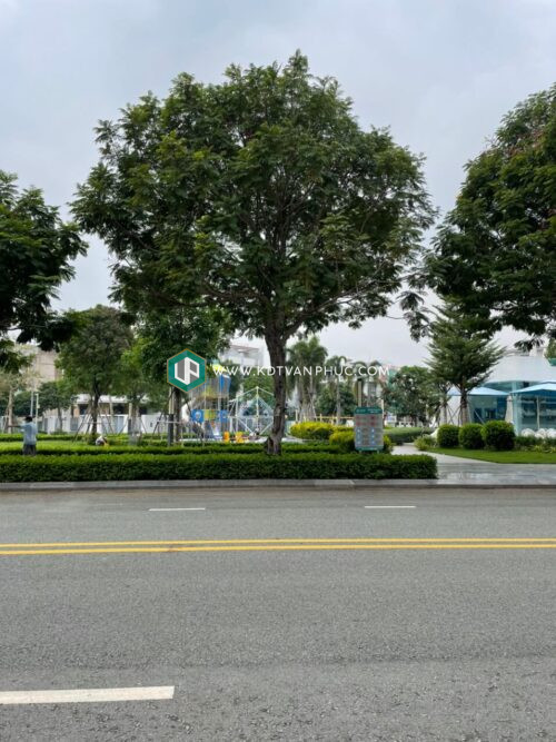 cho thuê nhà nguyên căn vạn phúc city