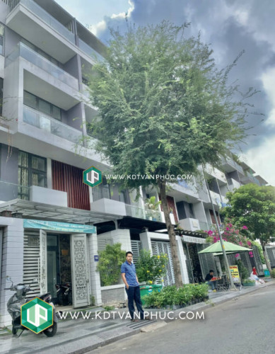 bán nhà vạn phúc city